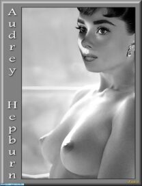 Audrey Hepburn Breasts Porn Fake 002