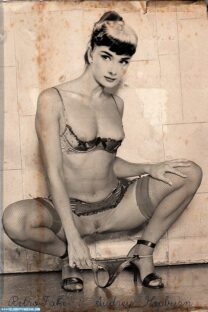 Audrey Hepburn Wardrobe Malfunction Panties Down Naked Fake 001