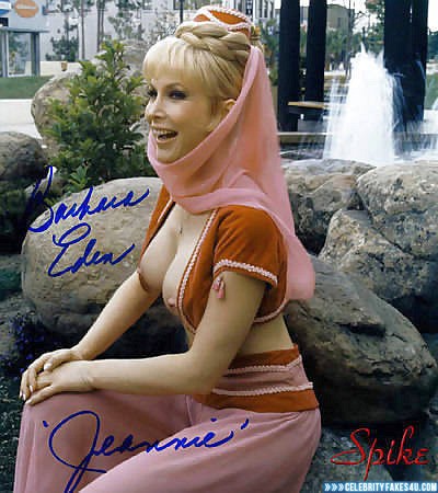 Barbara Eden Fake, Big Tits, I Dream of Jeannie (TV Series), Nip Slip, Public, Series, Tits, Porn