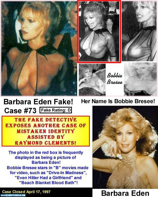 Barbara Eden Fake, Nude, Public, See-Thru, Tits, Porn