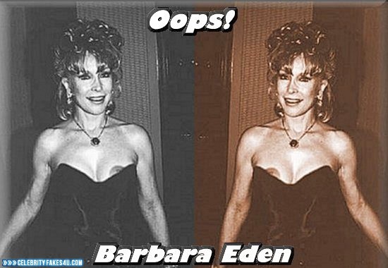 Barbara Eden Fake, Nip Slip, Public, Tits, Porn