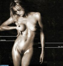 Cameron Diaz Wet Naked Body 003