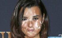 Cote De Pablo Huge Cumload Facial 001