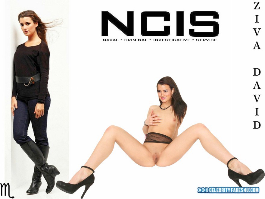 Cote De Pablo Fake, Heels, Legs Spread, NCIS, Pussy, Series, Small Tits, Squeezing Breasts, Tits, Porn