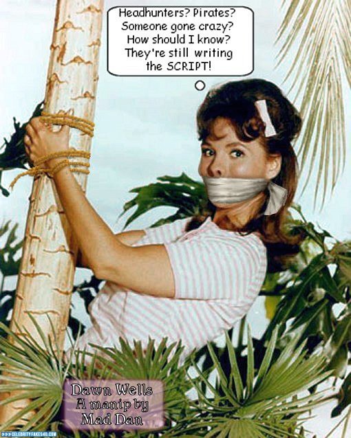 Dawn Wells Fake, BDSM, Bondage, Gilligan's Island, Series, Porn