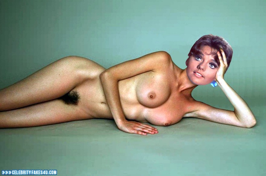 Dawn Wells Fake, Hairy Pussy, Naked Body / Fully Nude, Nude, Pussy, Tits, Porn