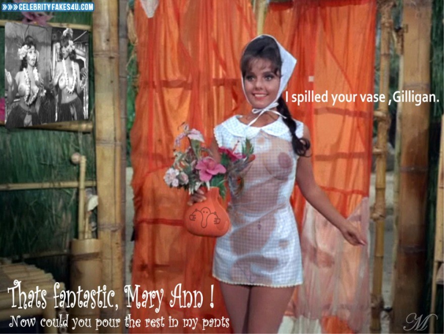 Dawn Wells Fake, Gilligan's Island, Nude, See-Thru, Series, Tits, Porn