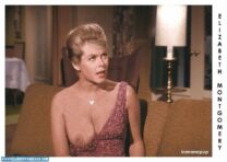 Elizabeth Montgomery Nipple Slip Bewitched Tv Show Nudes 001