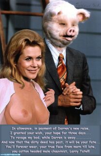 Elizabeth Montgomery Perfect Tits Bewitched Xxx 001