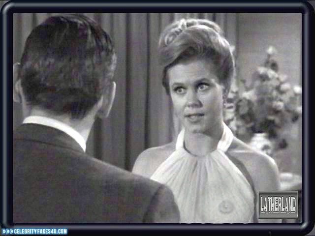 Elizabeth Montgomery Fake, Bewitched (TV Series), See-Thru, Tits, Porn