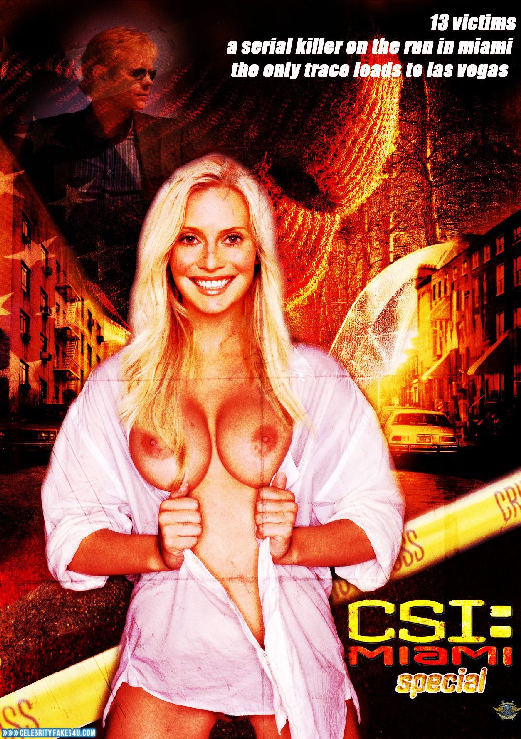 Emily Procter Fake, CSI (TV Series), Nude, Series, Tits, Porn