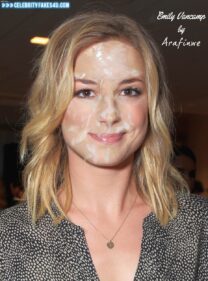 Emily Van Camp Facial Fakes 001