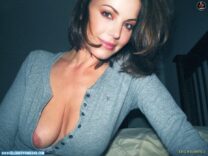 Erica Durance Selfie Wardrobe Malfunction Porn 001