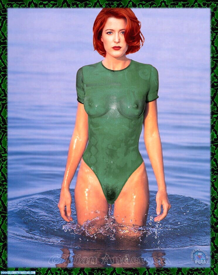 Gillian Anderson Fake, Lipstick, Readhead, See-Thru, Tits, Wet, Porn