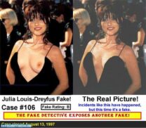 Julia Louis Dreyfus Nip Slip Public Naked Fake 001