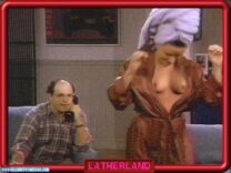 Julia Louis Dreyfus Titty Flash Seinfeld Nsfw Fake 001