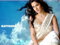 Katrina Kaif See Thru Exposed Breasts Nudes 001