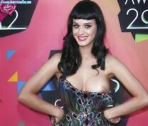 Katy Perry Nip Slip Public Porn Fake 001