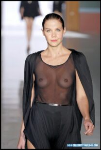 Maggie Gyllenhaal See Thru Public Nude Fake 001