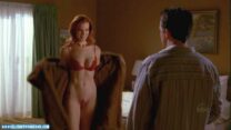 Marcia Cross No Underwear Desperate Housewives 001