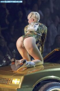 Miley Cyrus Panties Aside Public 001