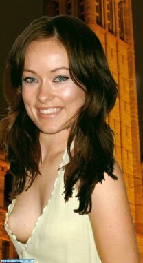 Olivia Wilde Nipple Slip Fake 001