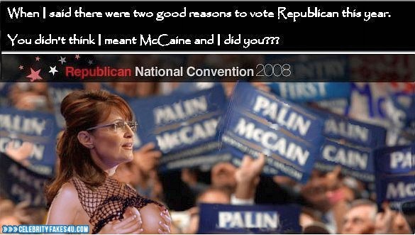 Sarah Palin Fake, Captioned, Public, Squeezing Breasts, Porn