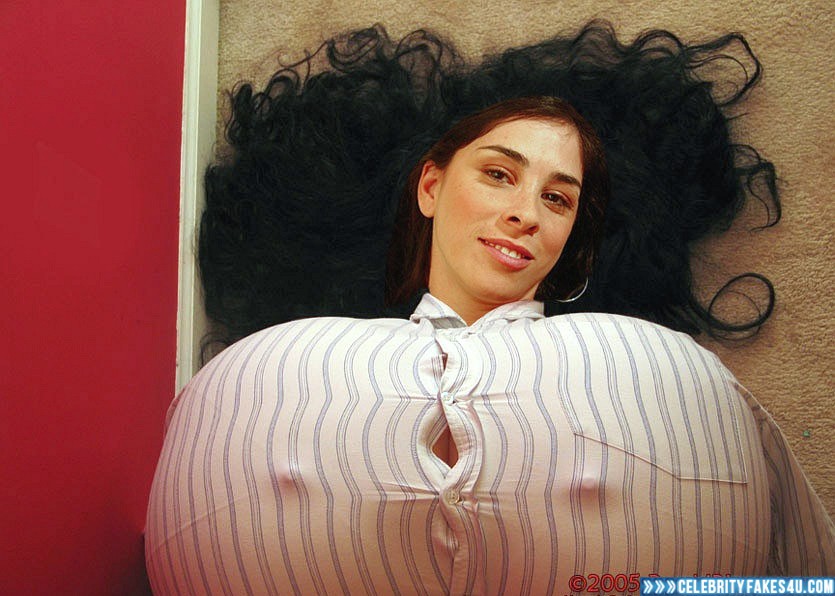 Sarah Silverman Fake, Huge Tits, Nipple Pokies, Porn