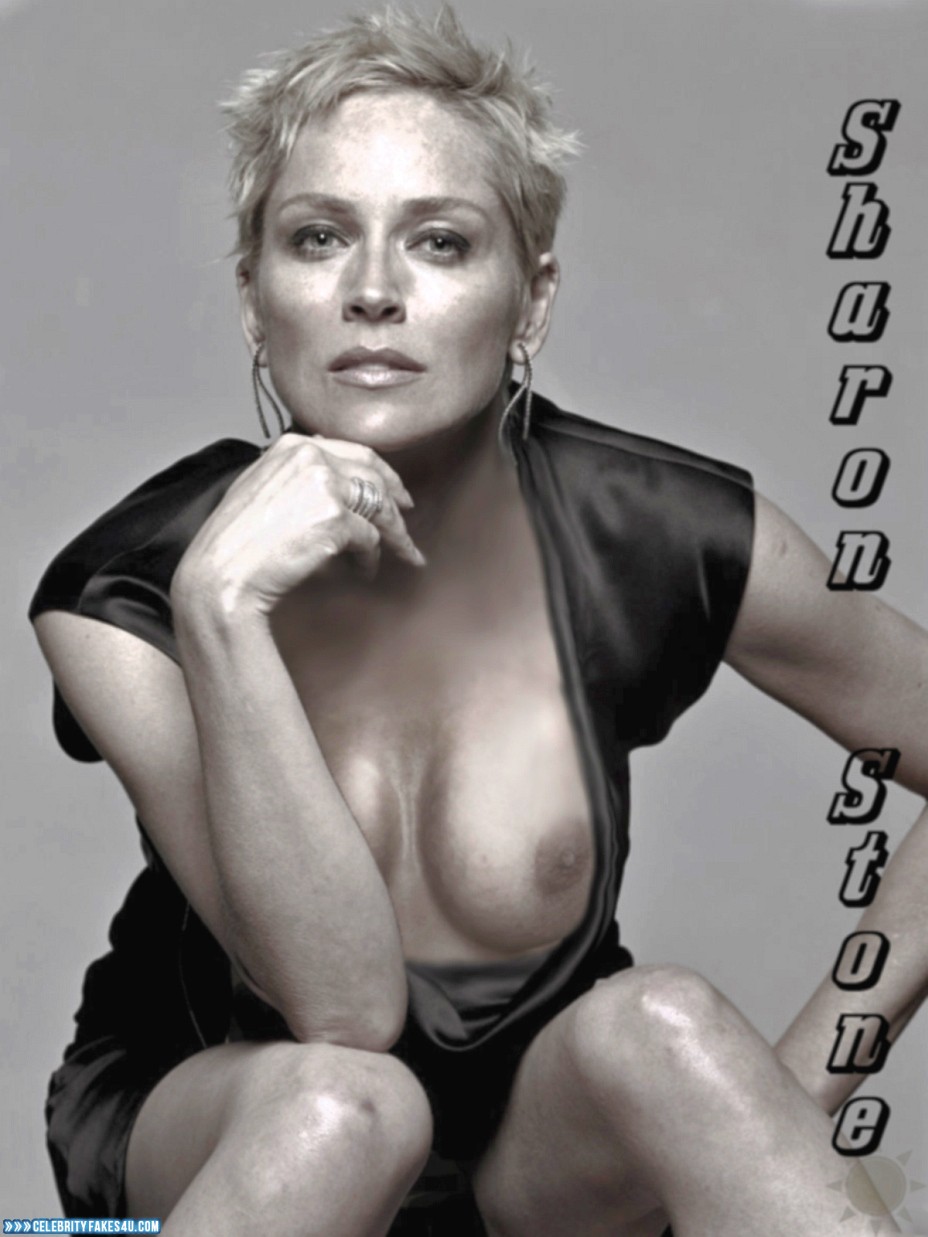 Sharon Stone Fake, Tit Slip, Porn