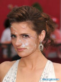 Stana Katic Public Facial Cumshot Nude Fake 001