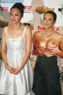 Zhang Ziyi Big Breasts Red Carpet 001